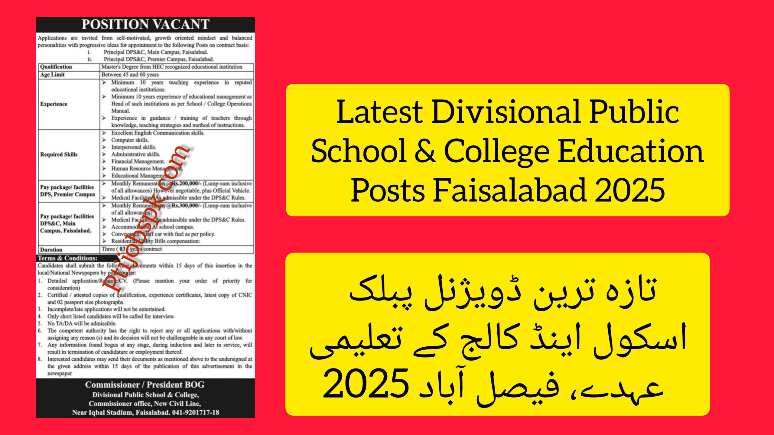 Latest Divisional Public School & College Education Posts Faisalabad 2025