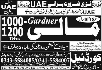 KPPSC Jobs in Peshawar