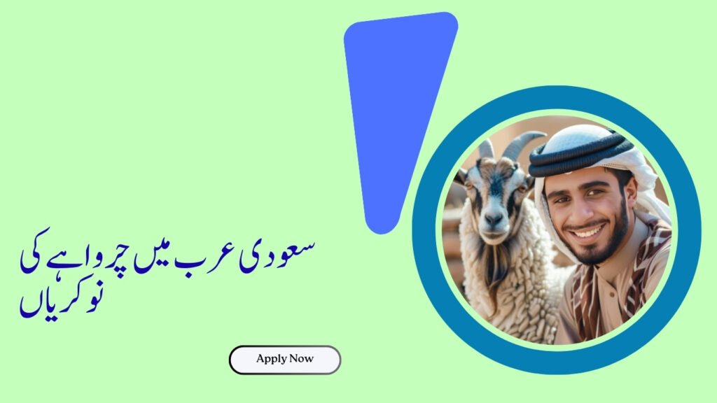 Shepherd Jobs in Saudi Arabia